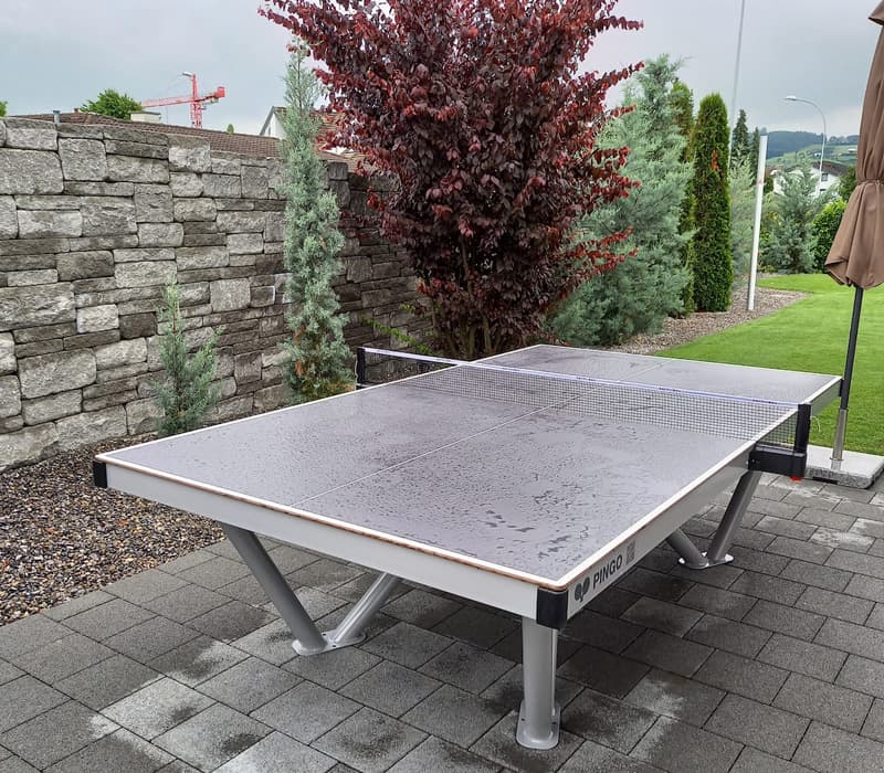 Tischtennistisch mit Competition Netz in Oberkirch